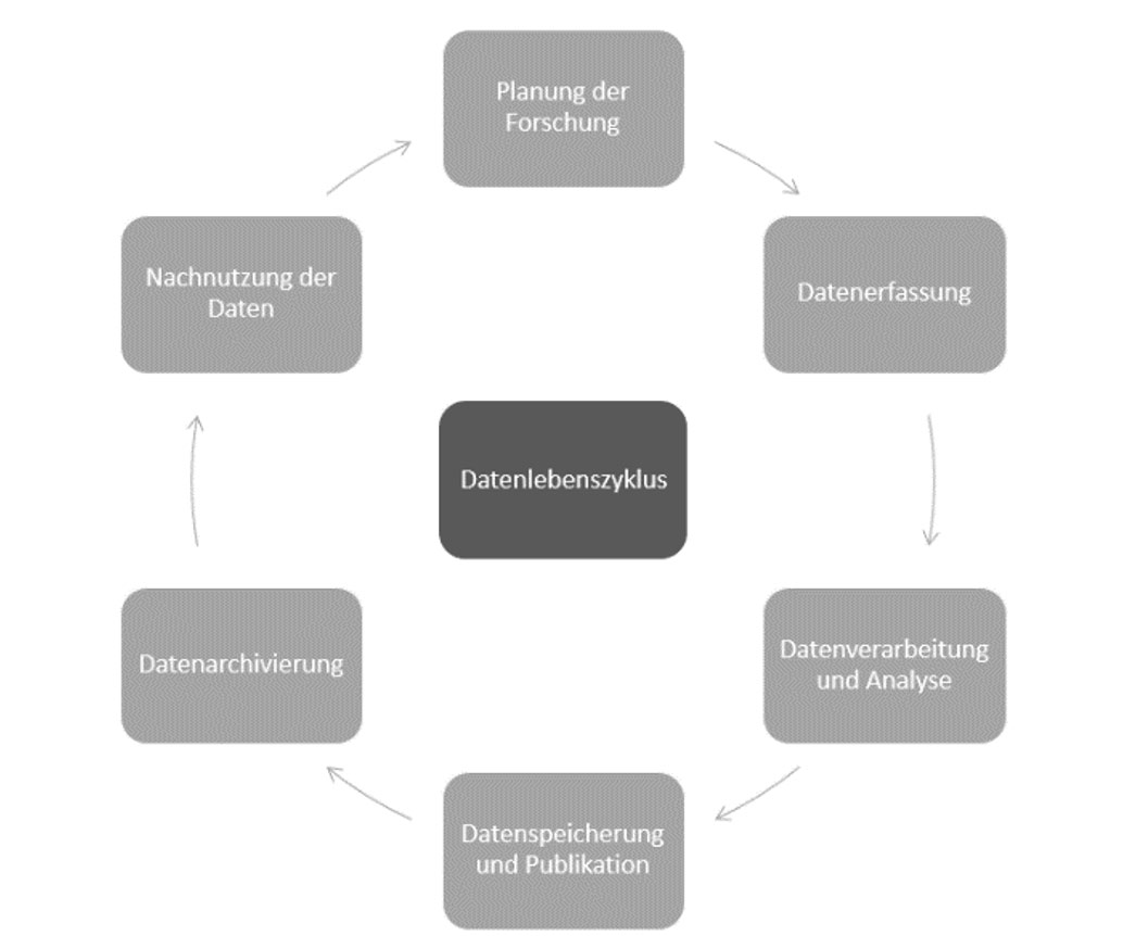 Research data lifecycle